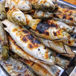 Temporary illustrative seafood image for smoked and processed seafood products